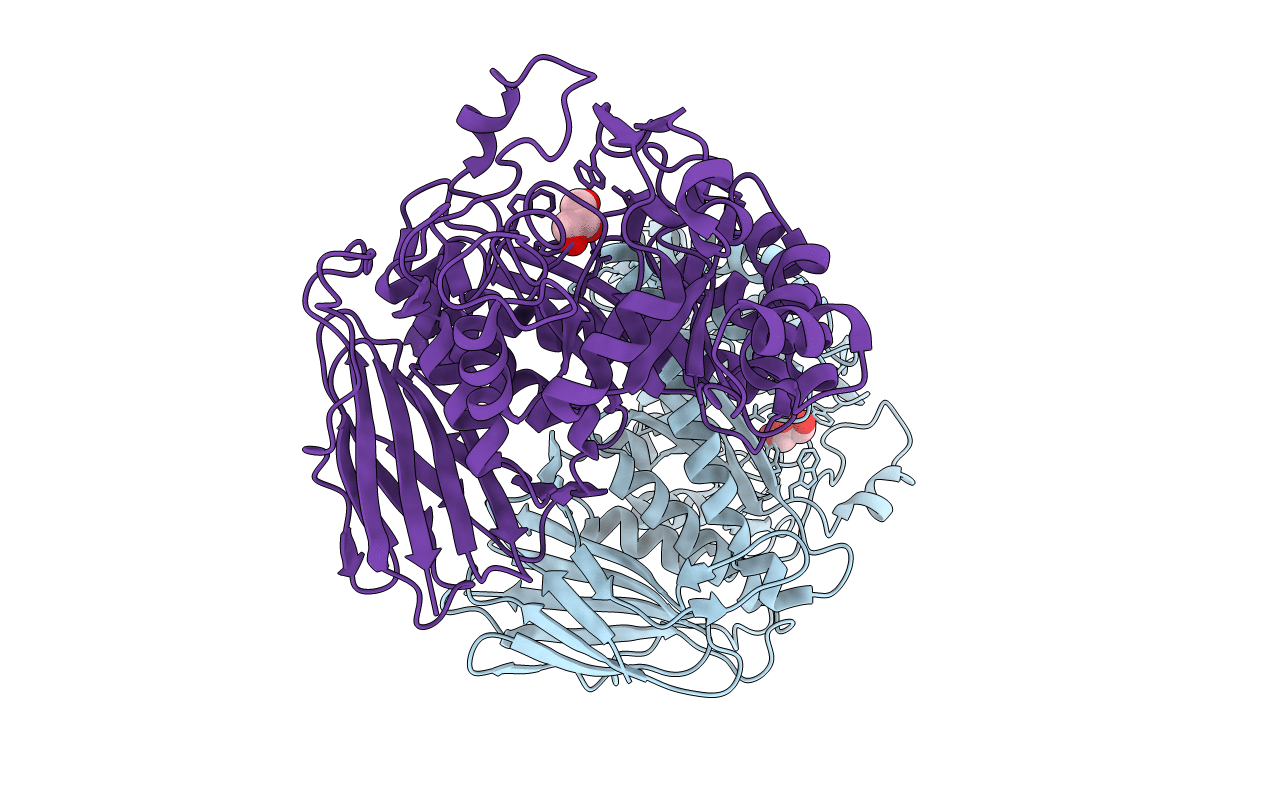 1PZ3 image
