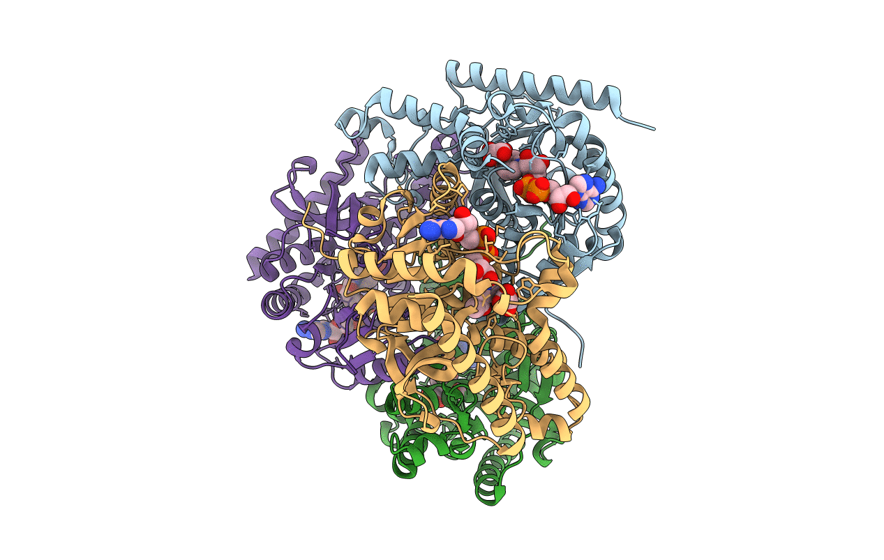 1PZF image