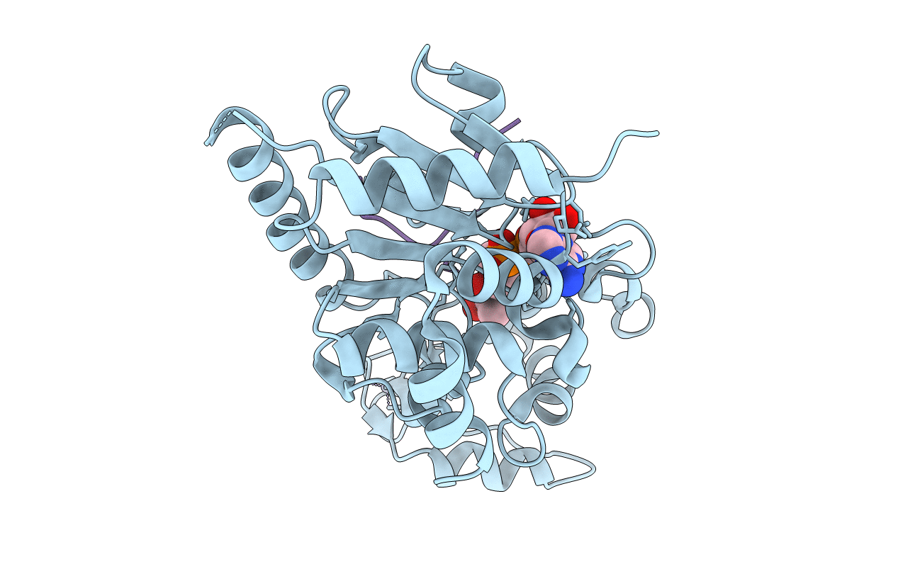 1Q1A image