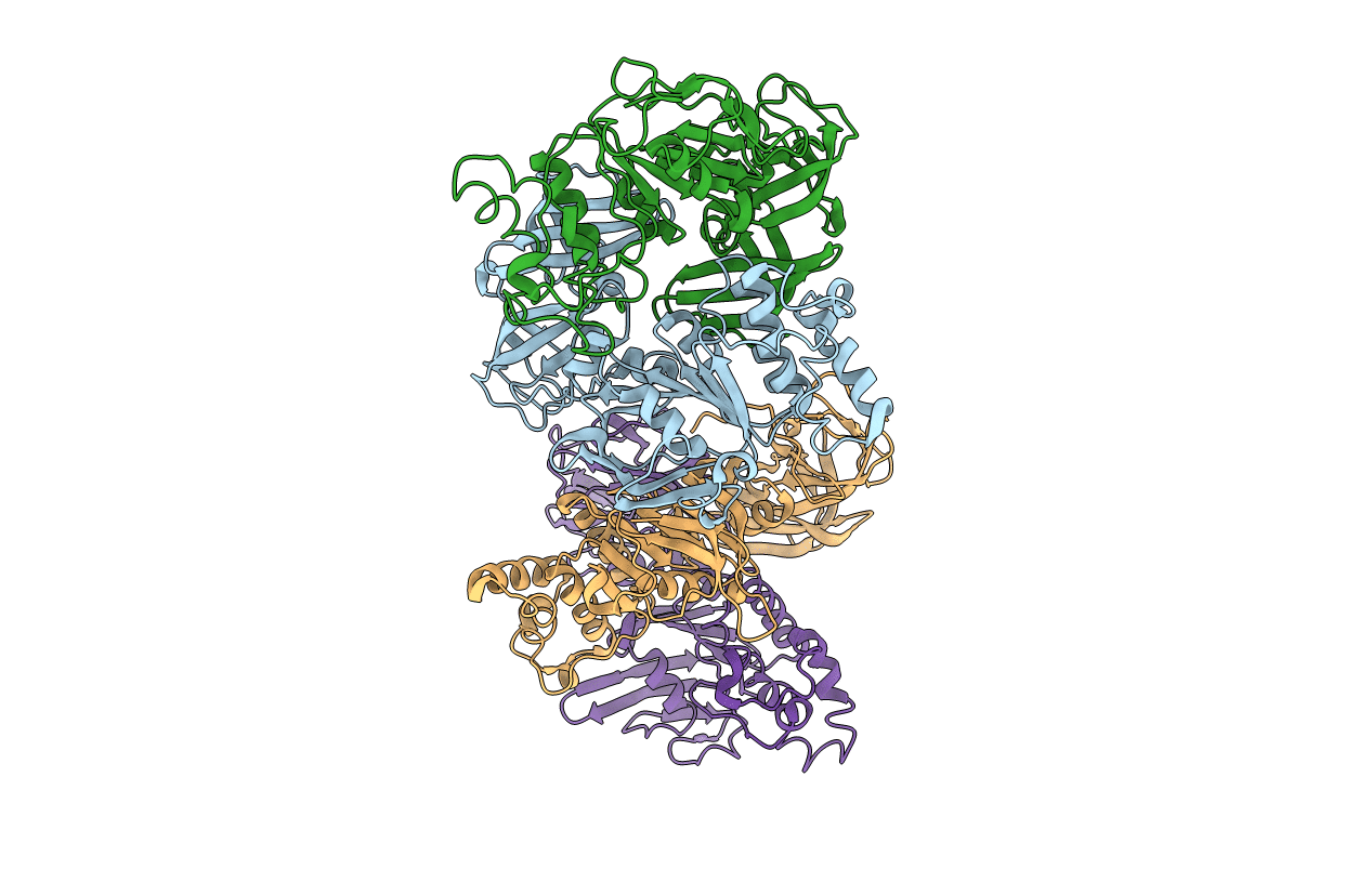 1Q1B image