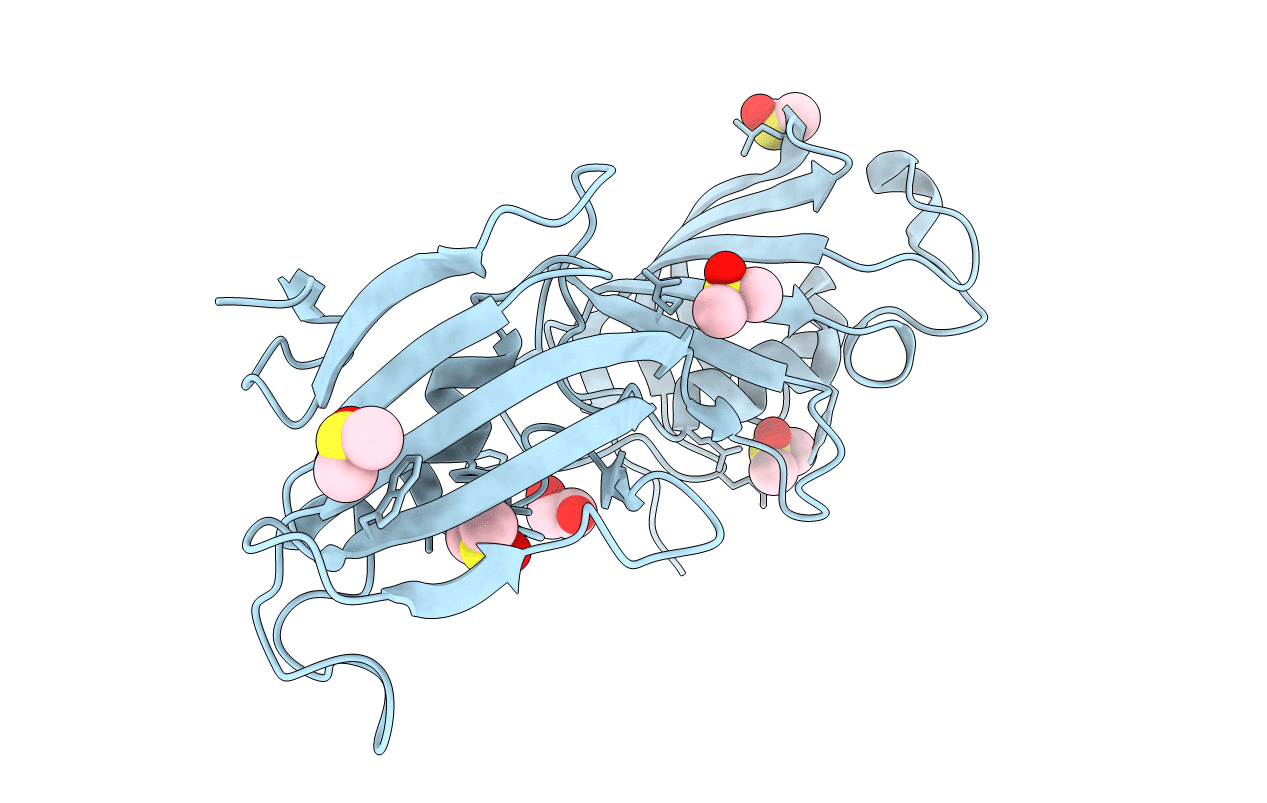 1Q1C image