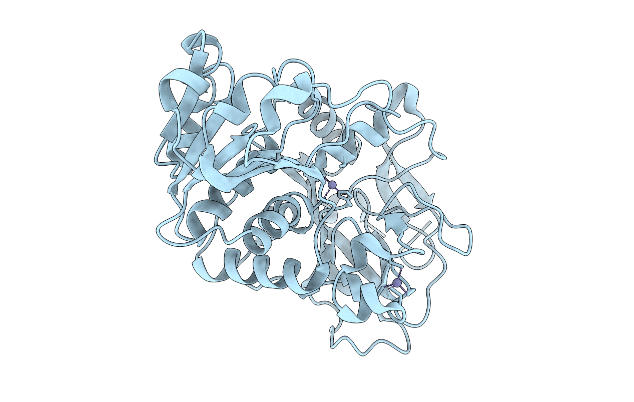 1Q1N image