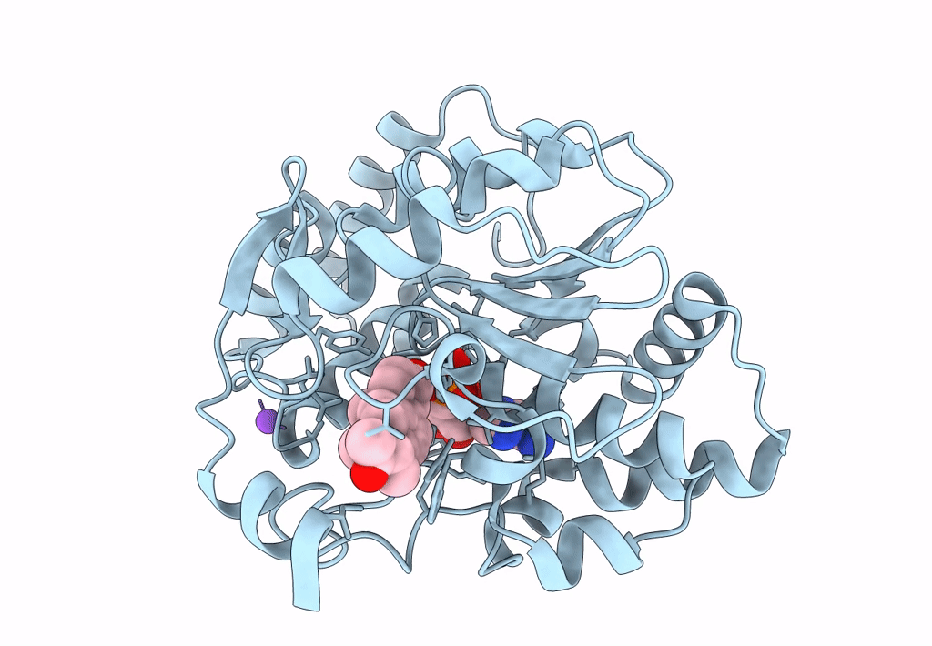 1Q20 image