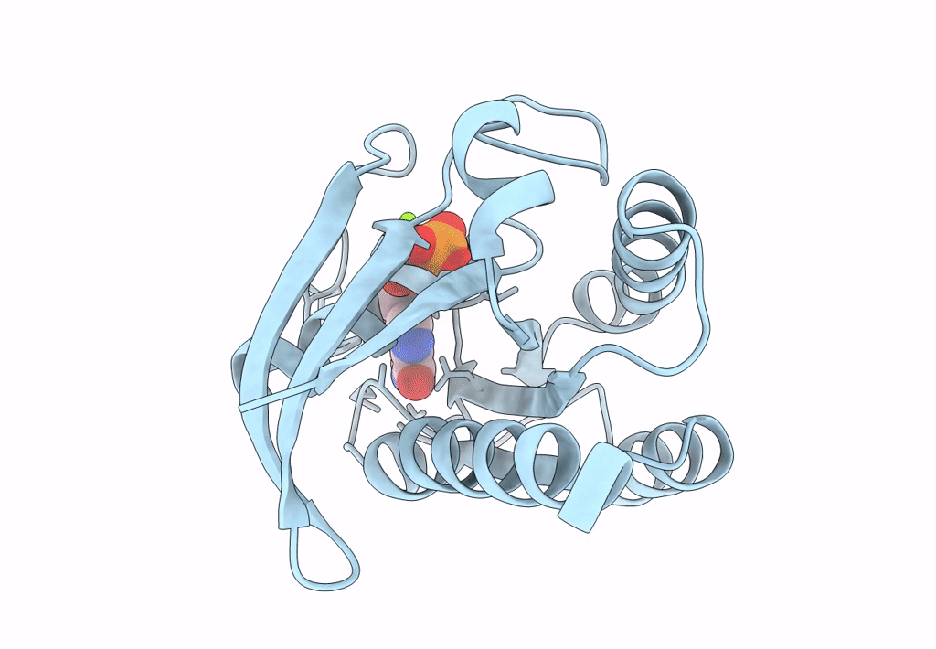 1Q21 image