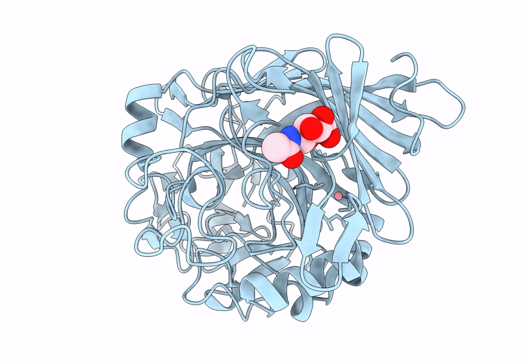 1Q2B image