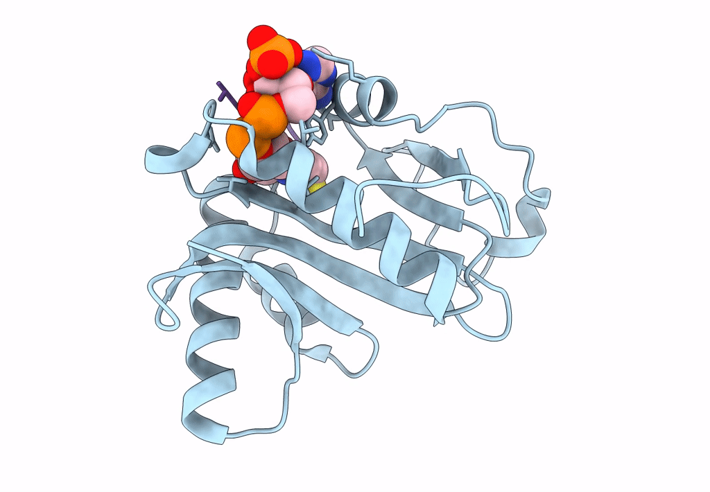 1Q2C image