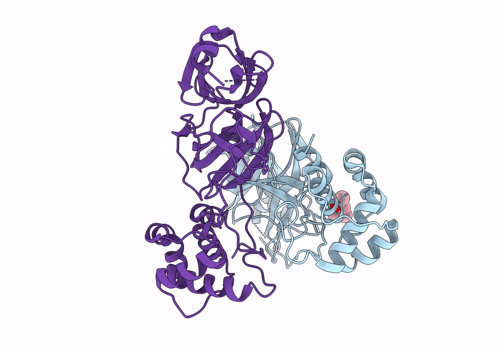 1Q2W image