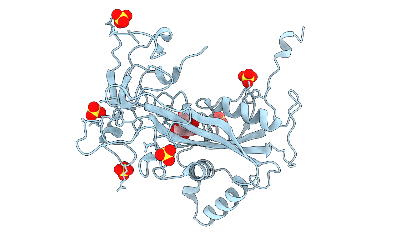 1Q33 image