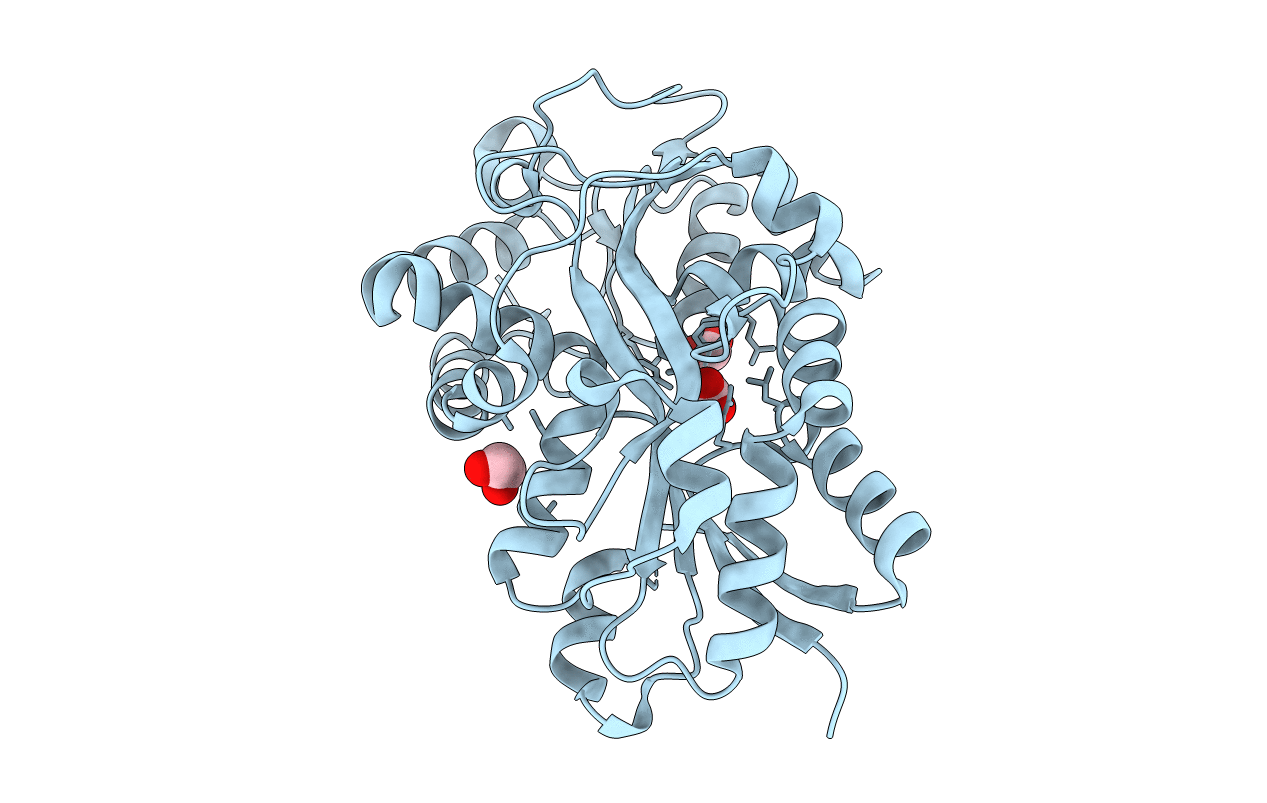 1Q35 image