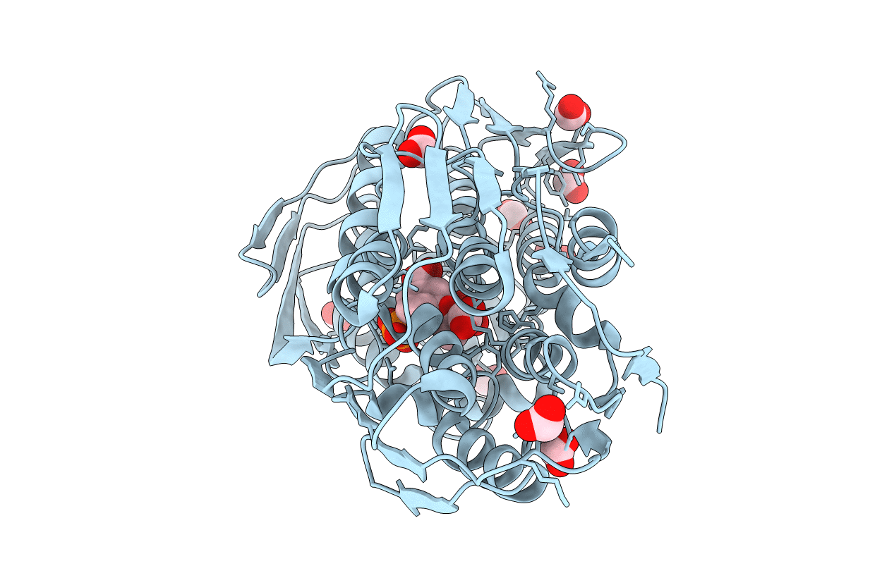 1q36 image
