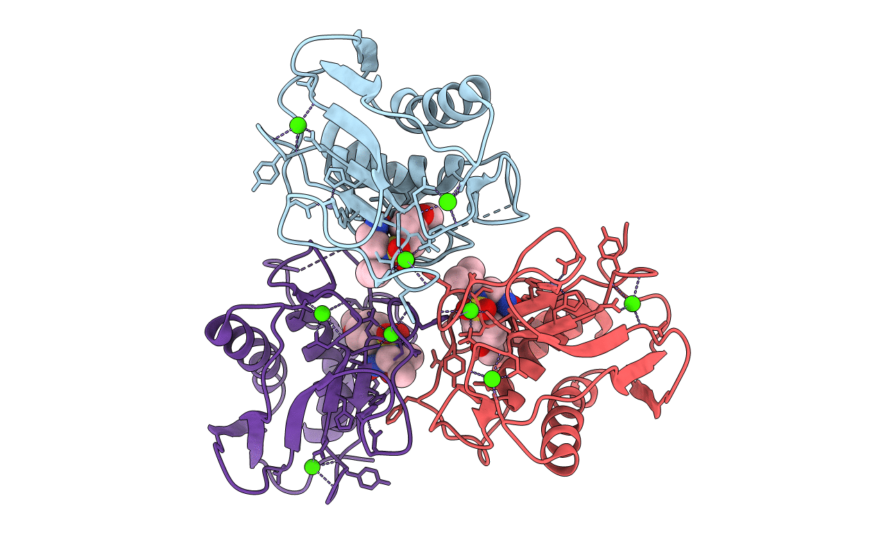 1Q3A image