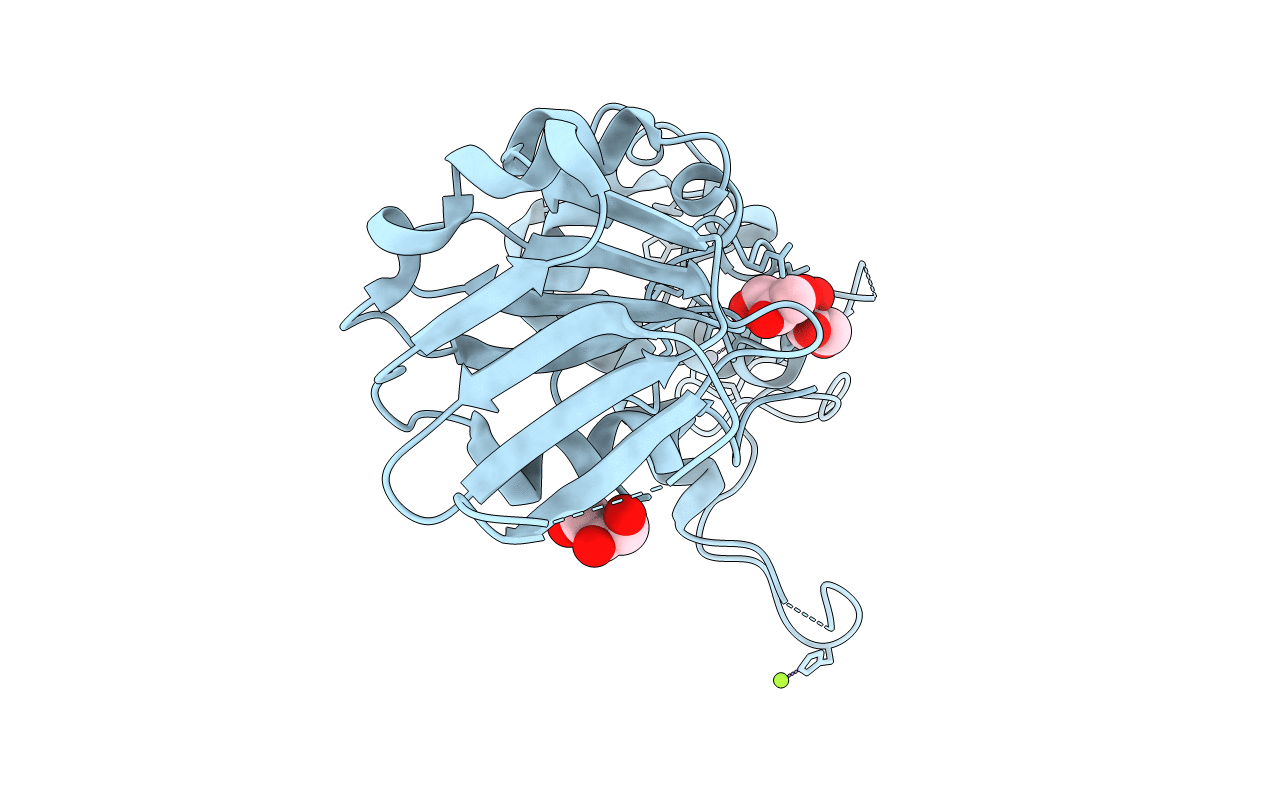 1Q3C image