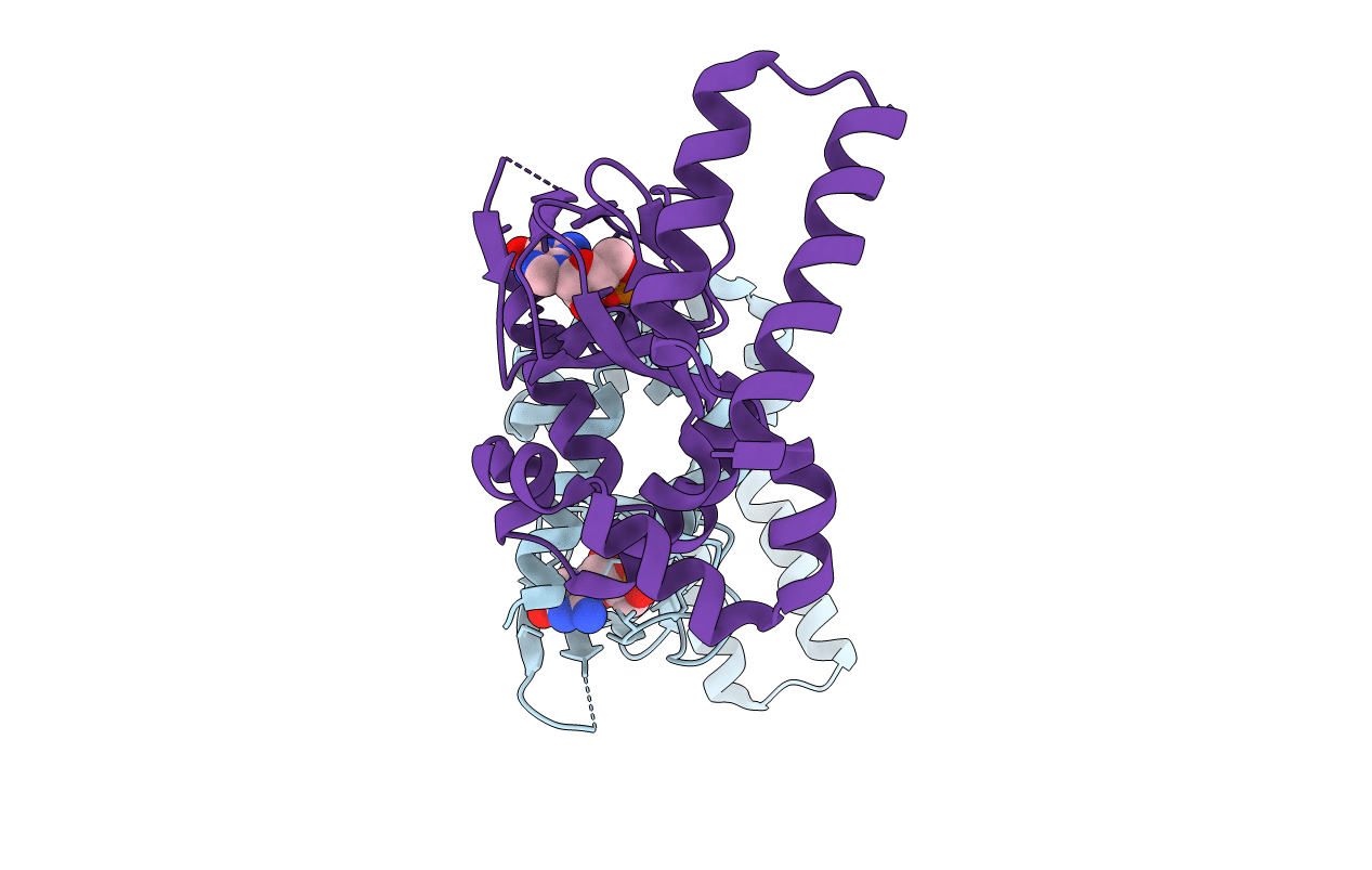 1Q3E image