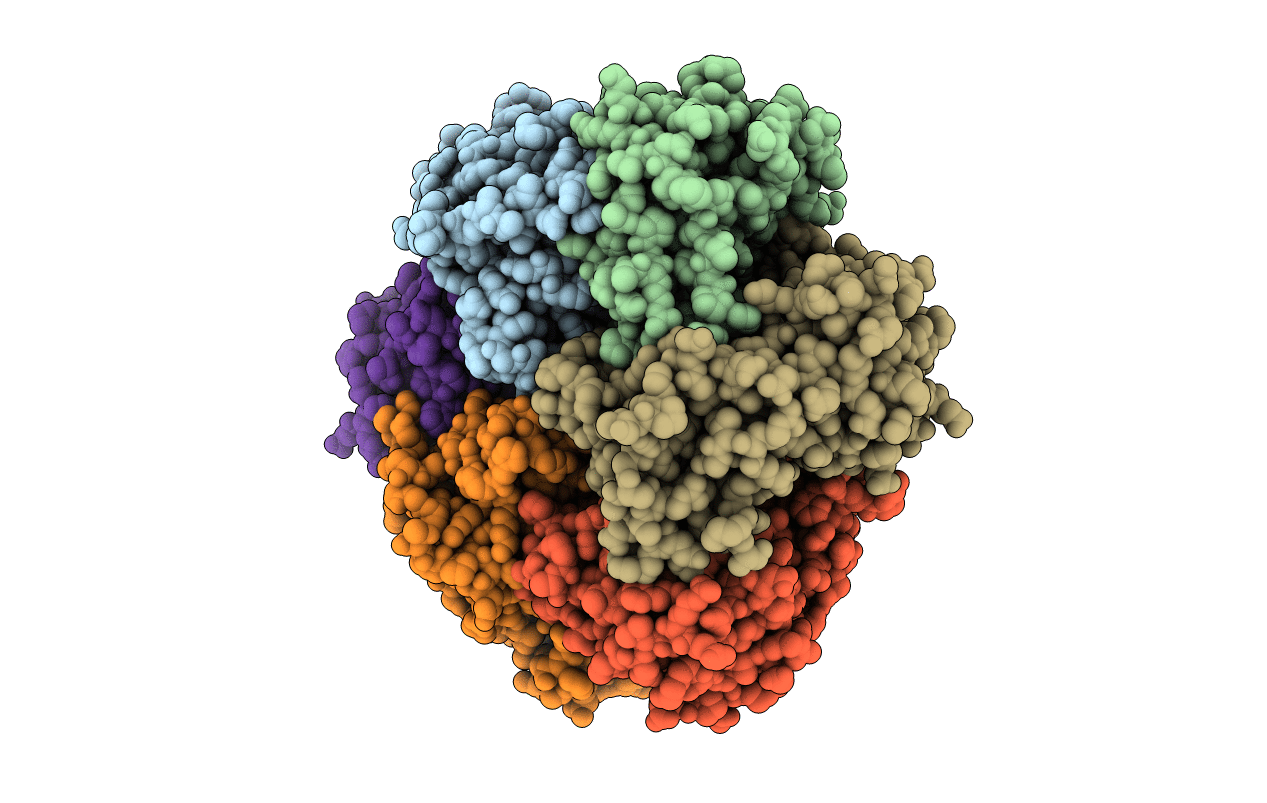 1Q3K image