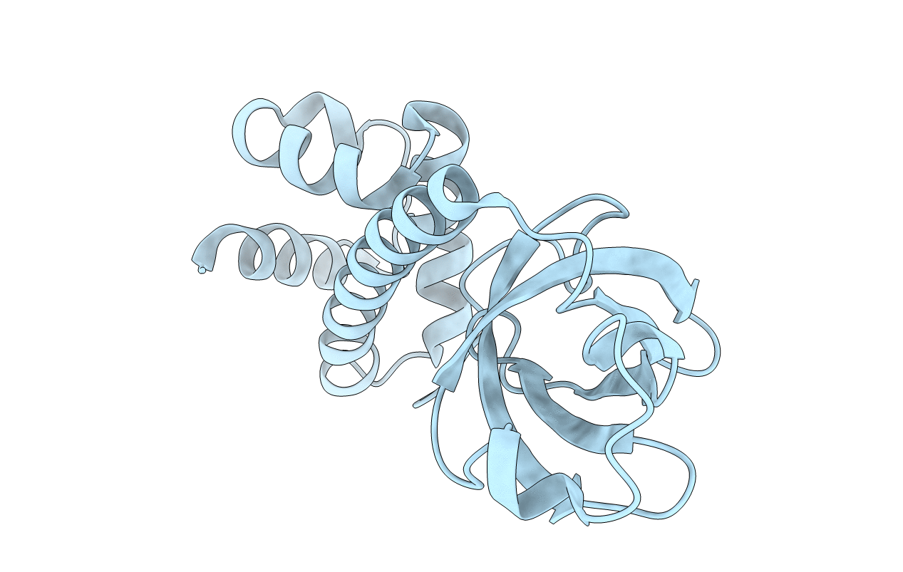 1Q46 image