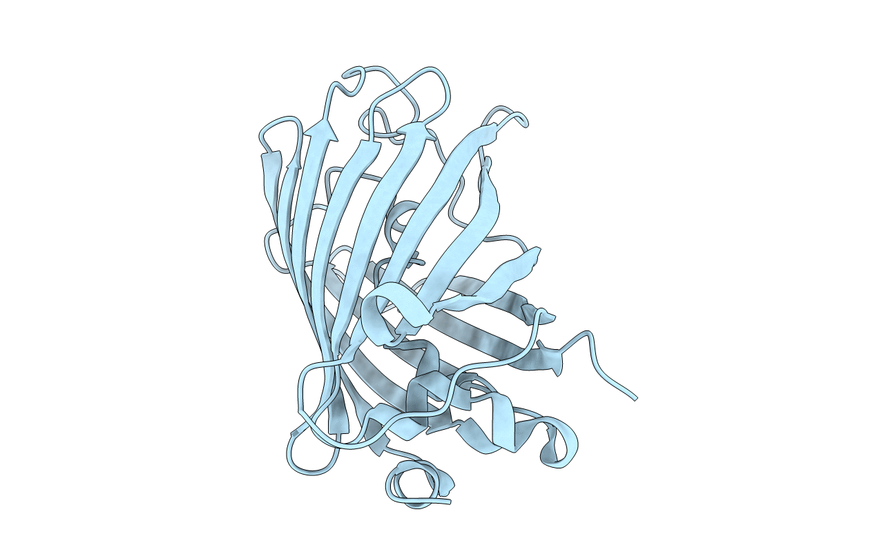 1Q4B image