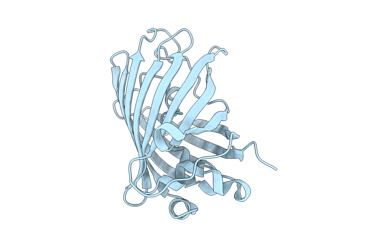 1Q4E image