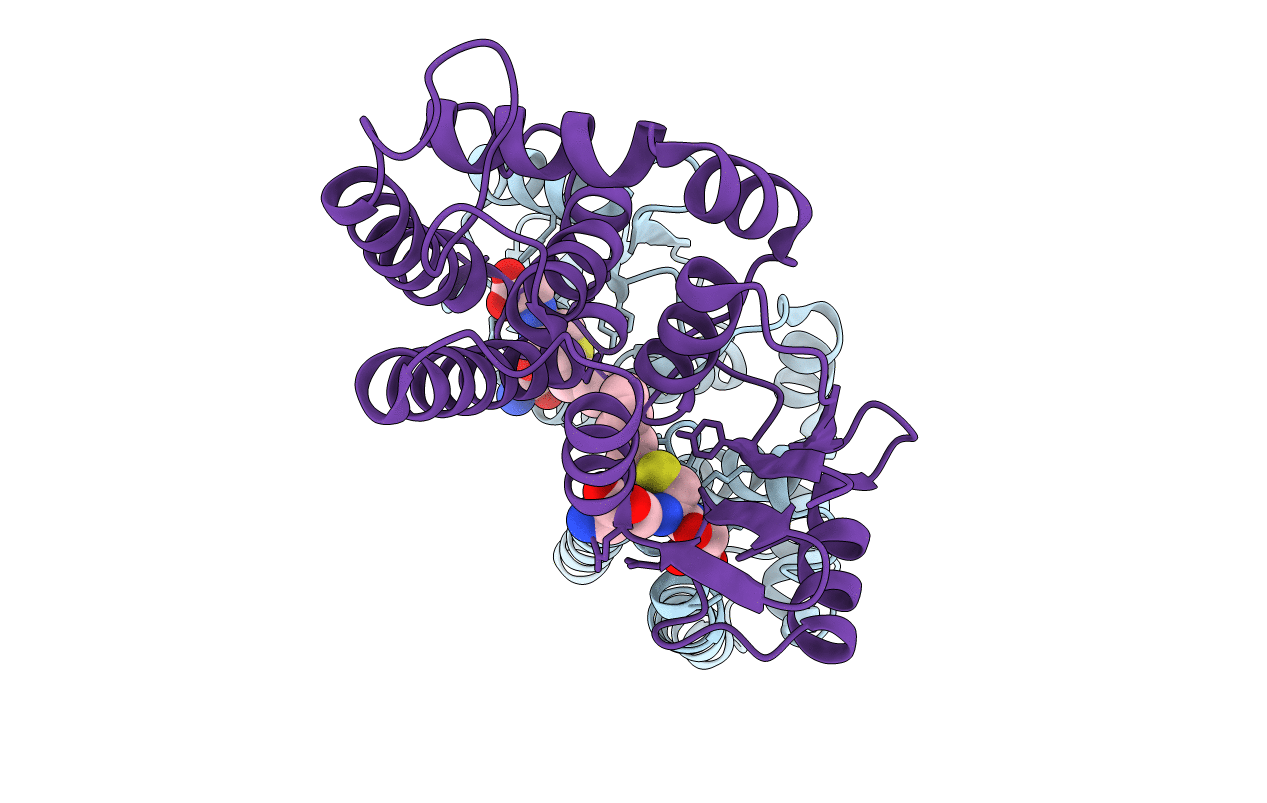 1Q4J image