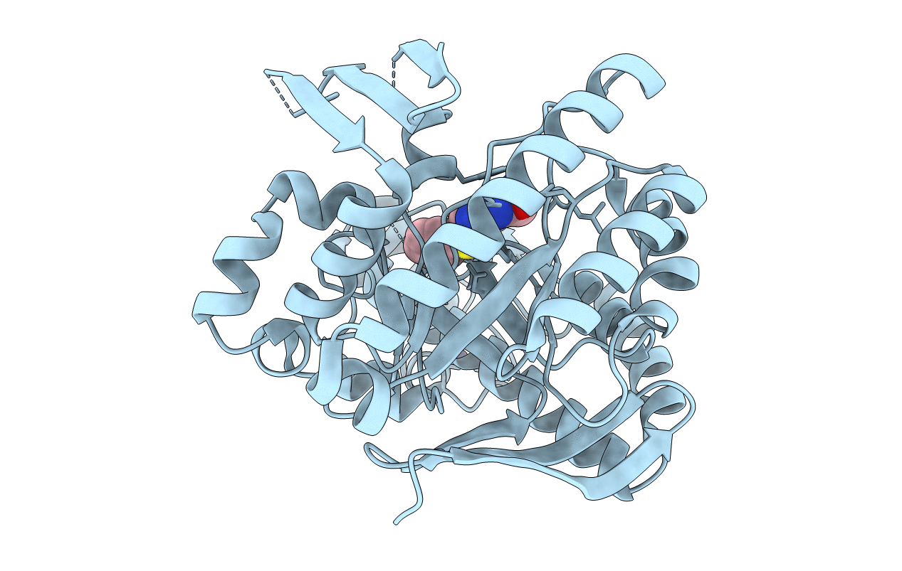 1Q66 image