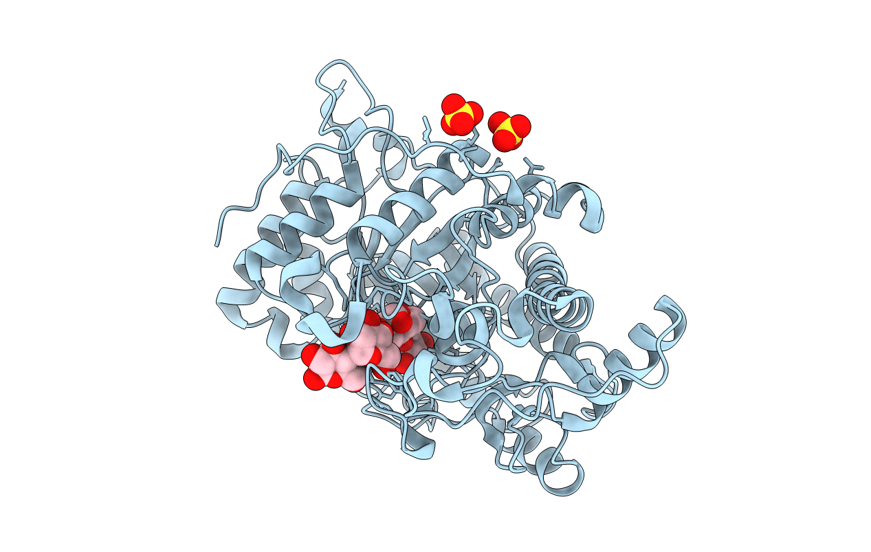 1Q6D image