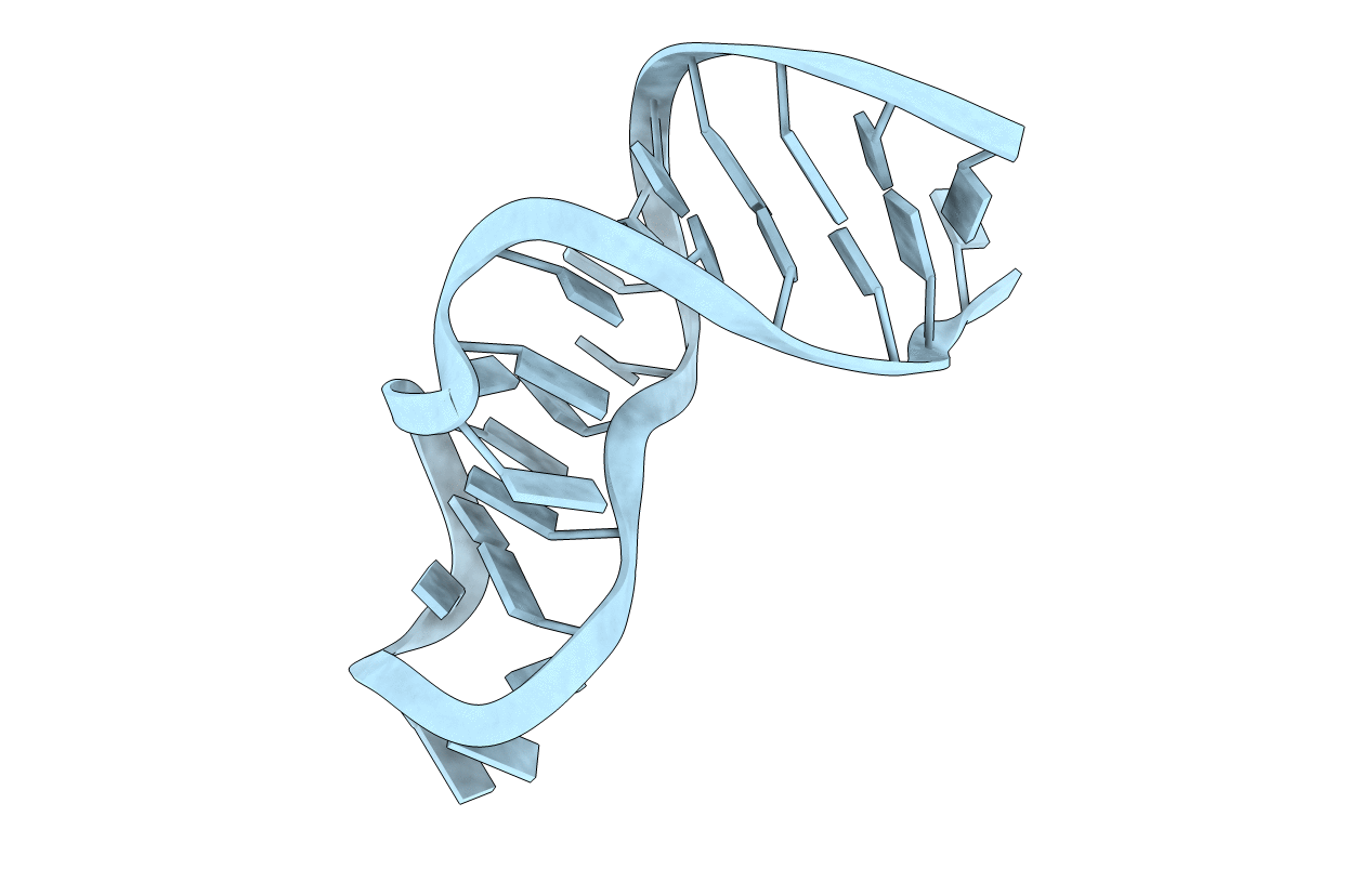 1q9a image