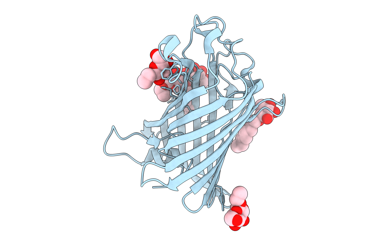 1QD5 image