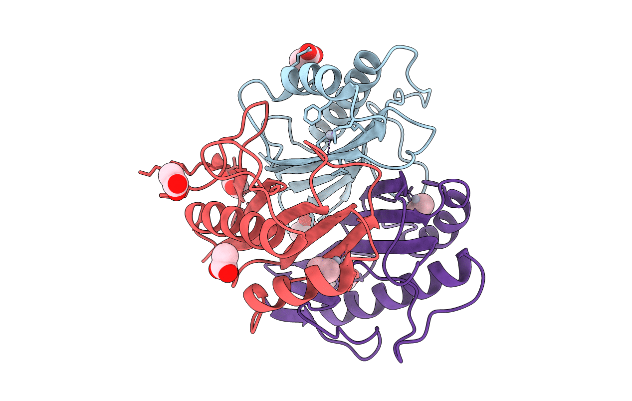 1QD9 image