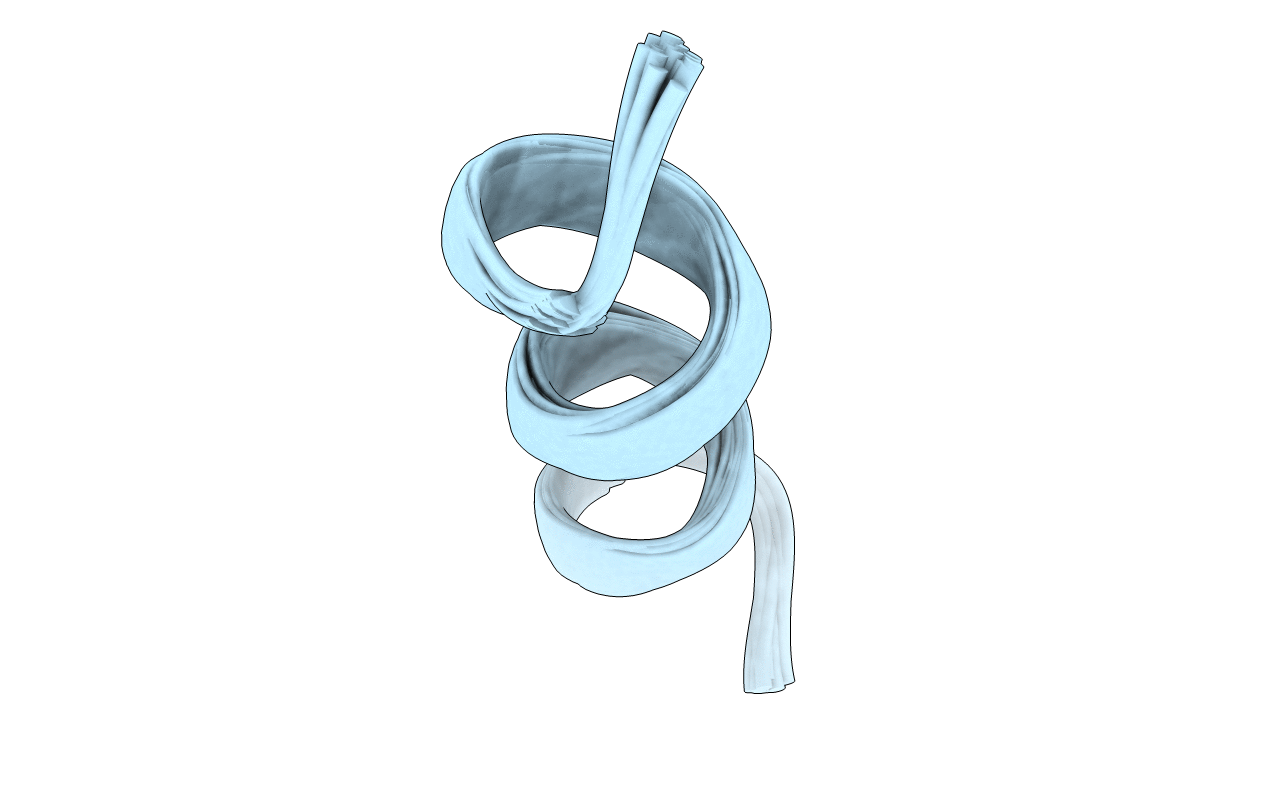 1QFA image
