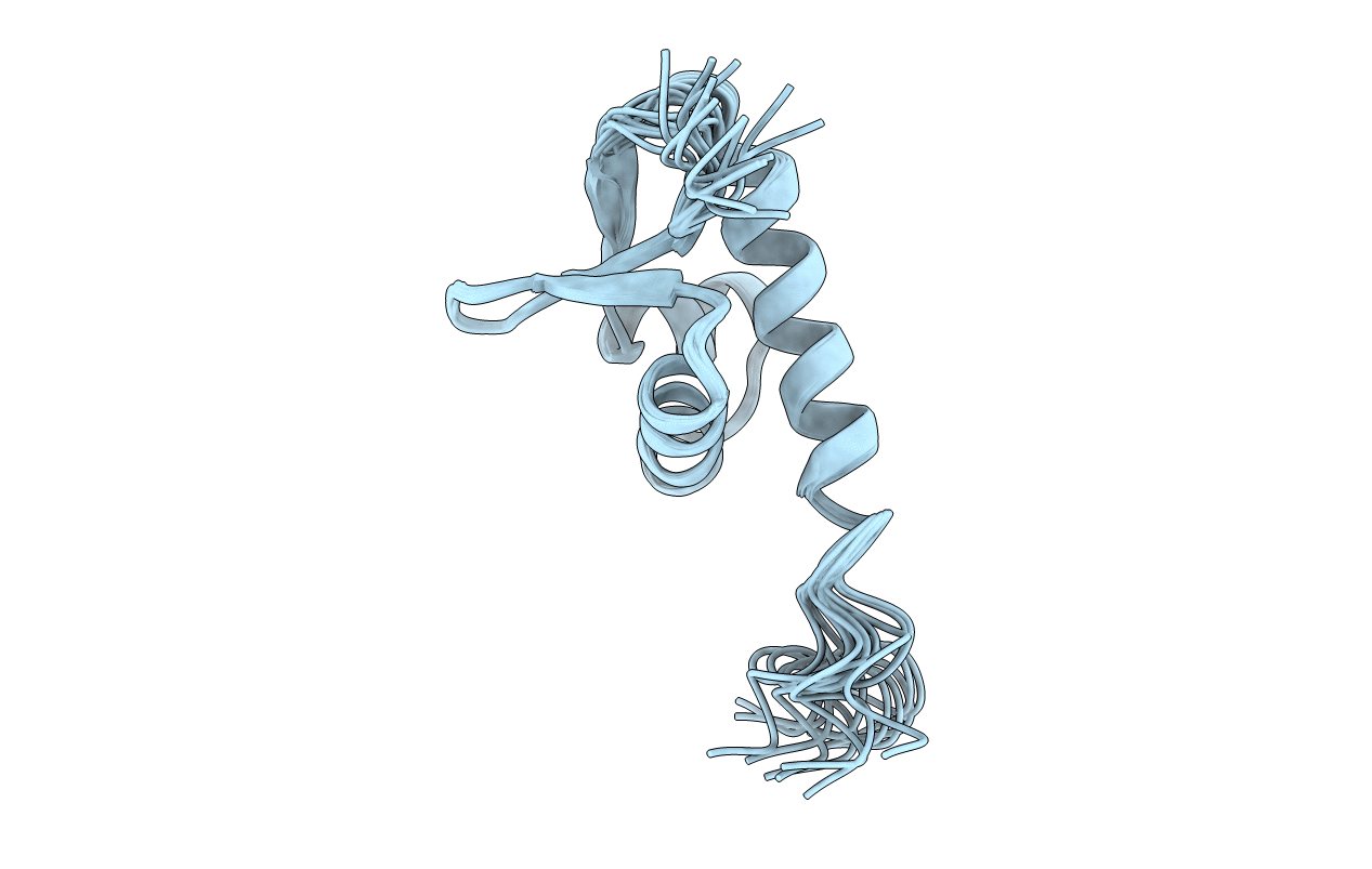 1QGP image