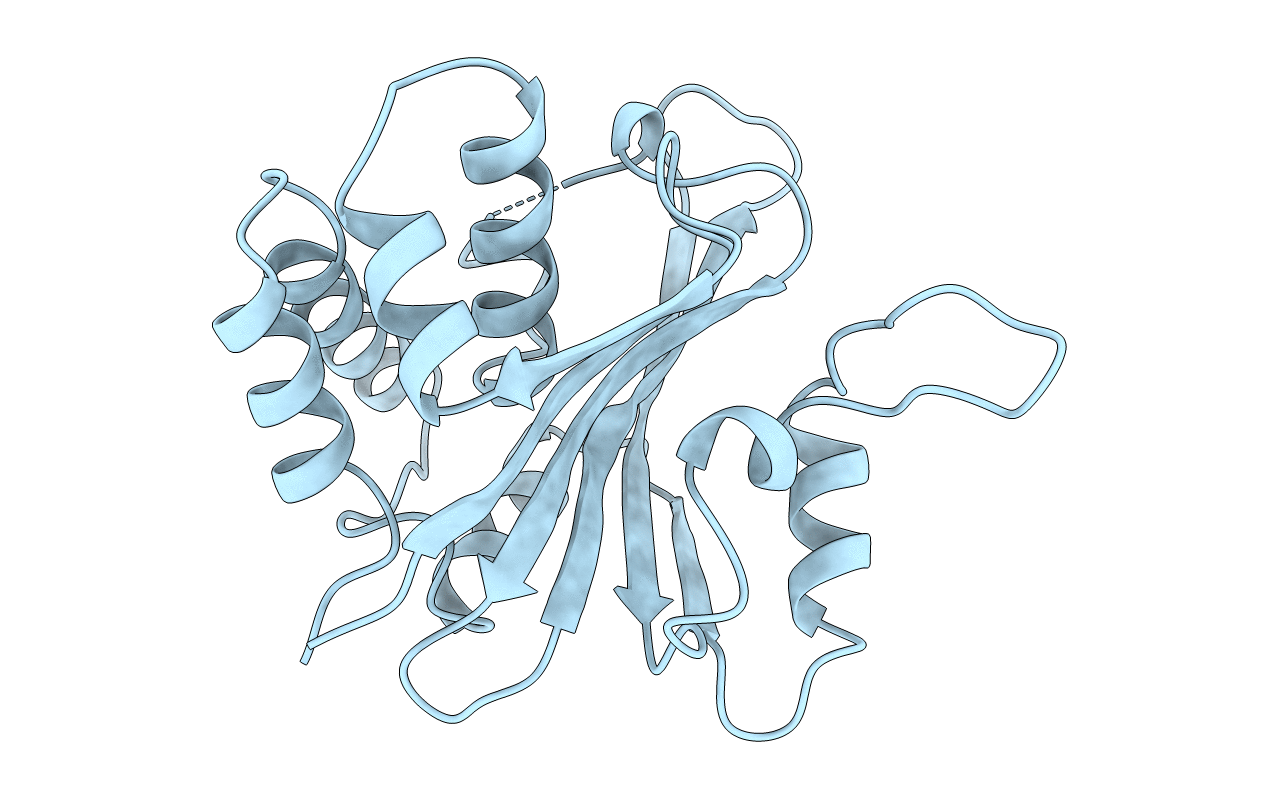 1QHL image
