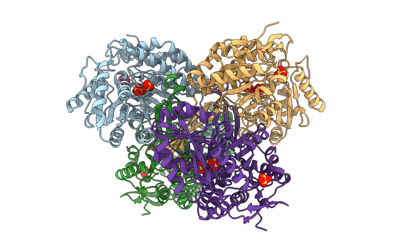 1qi6 image