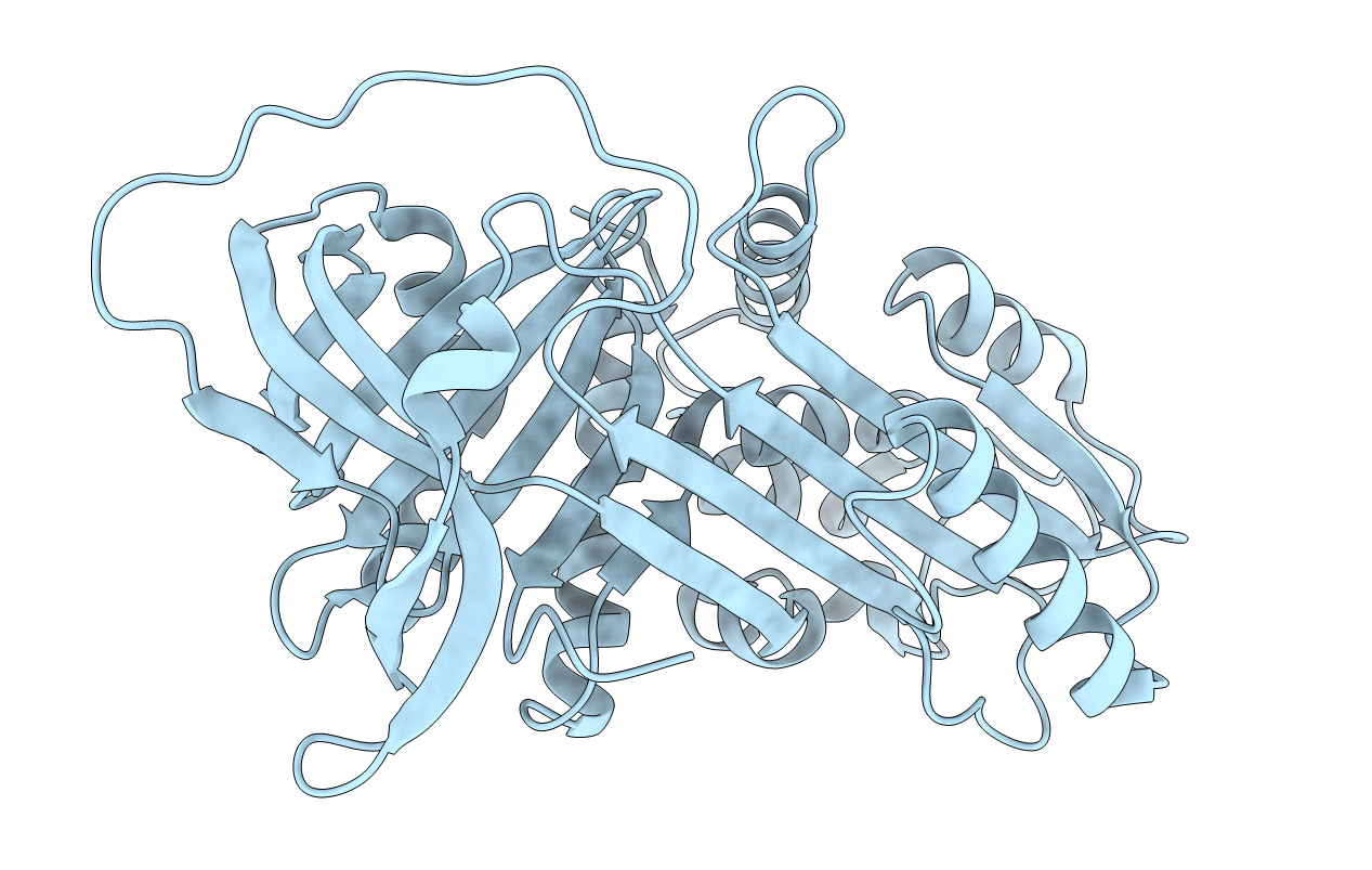 1QLP image