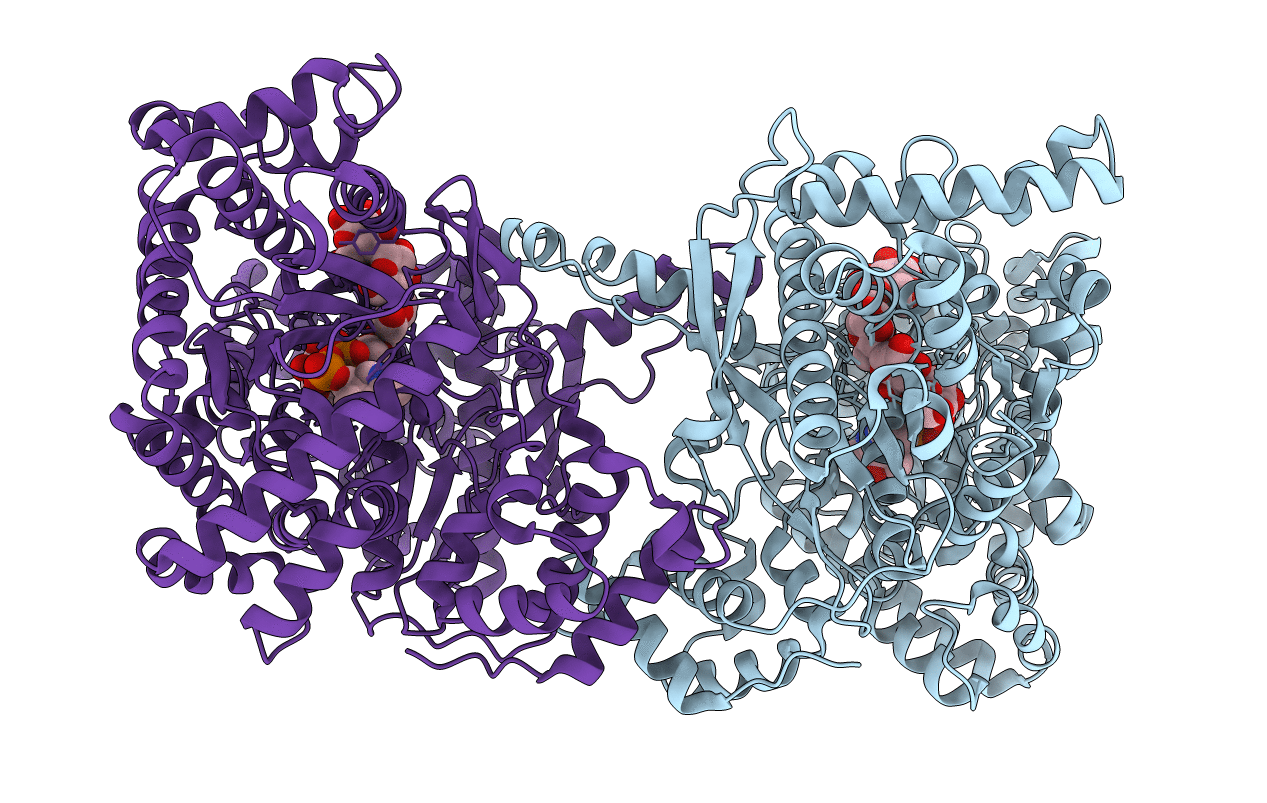 1QM5 image