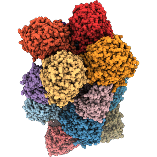 1QOX image