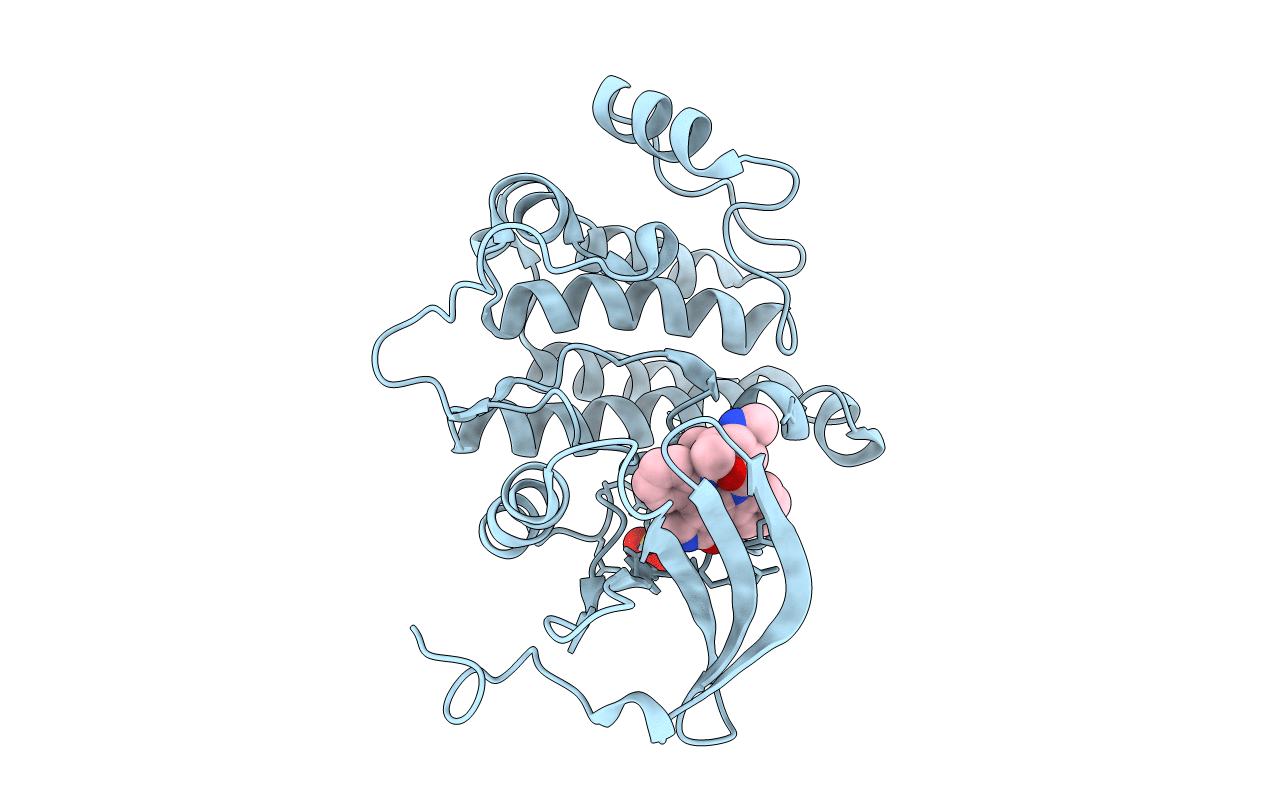 1QPD image