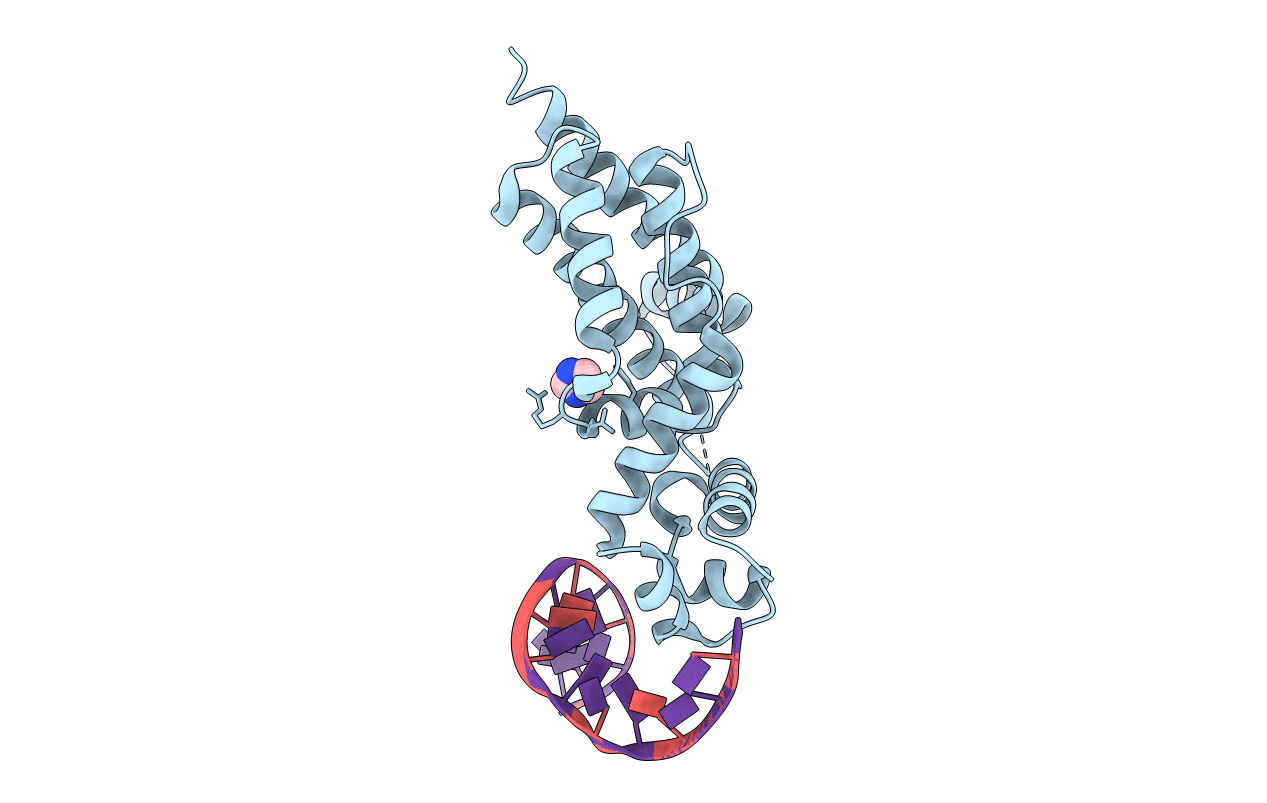 1QPI image