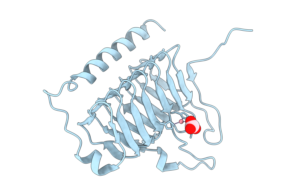 1QRE image