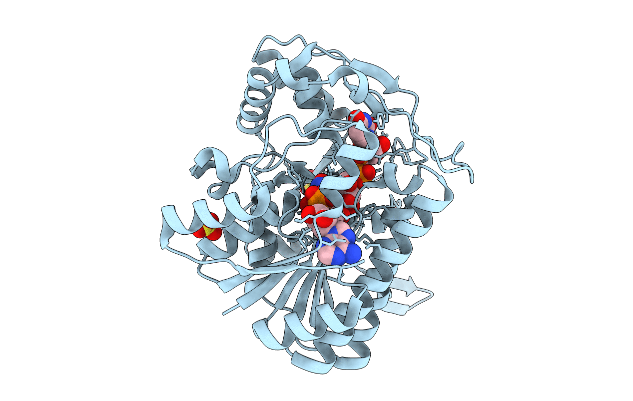 1QRR image