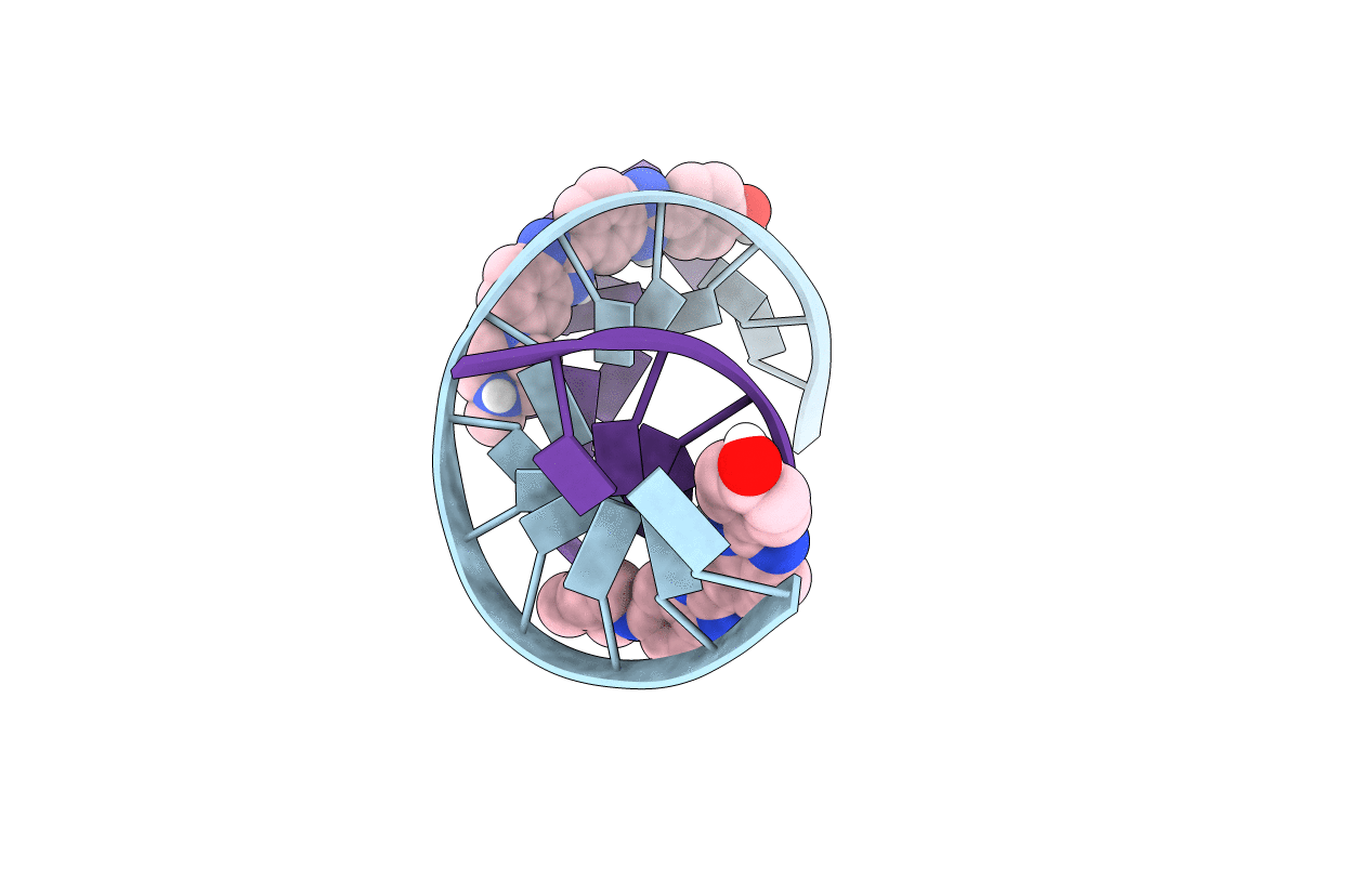 1QSX image