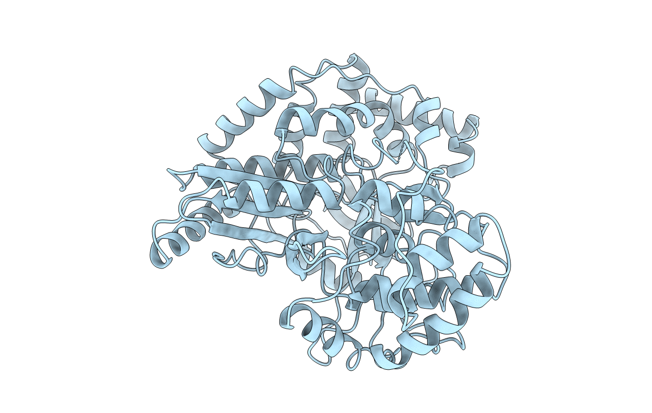 1QUV image