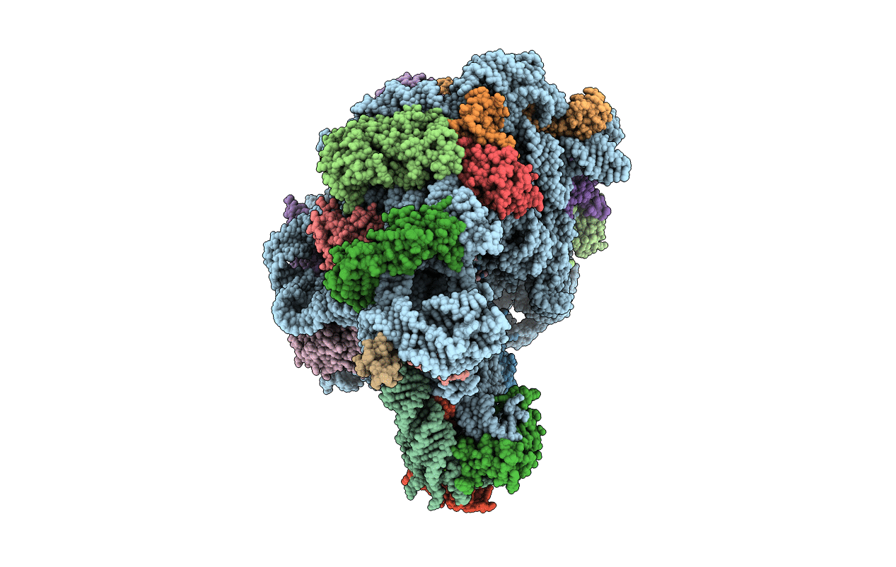 1QVG image