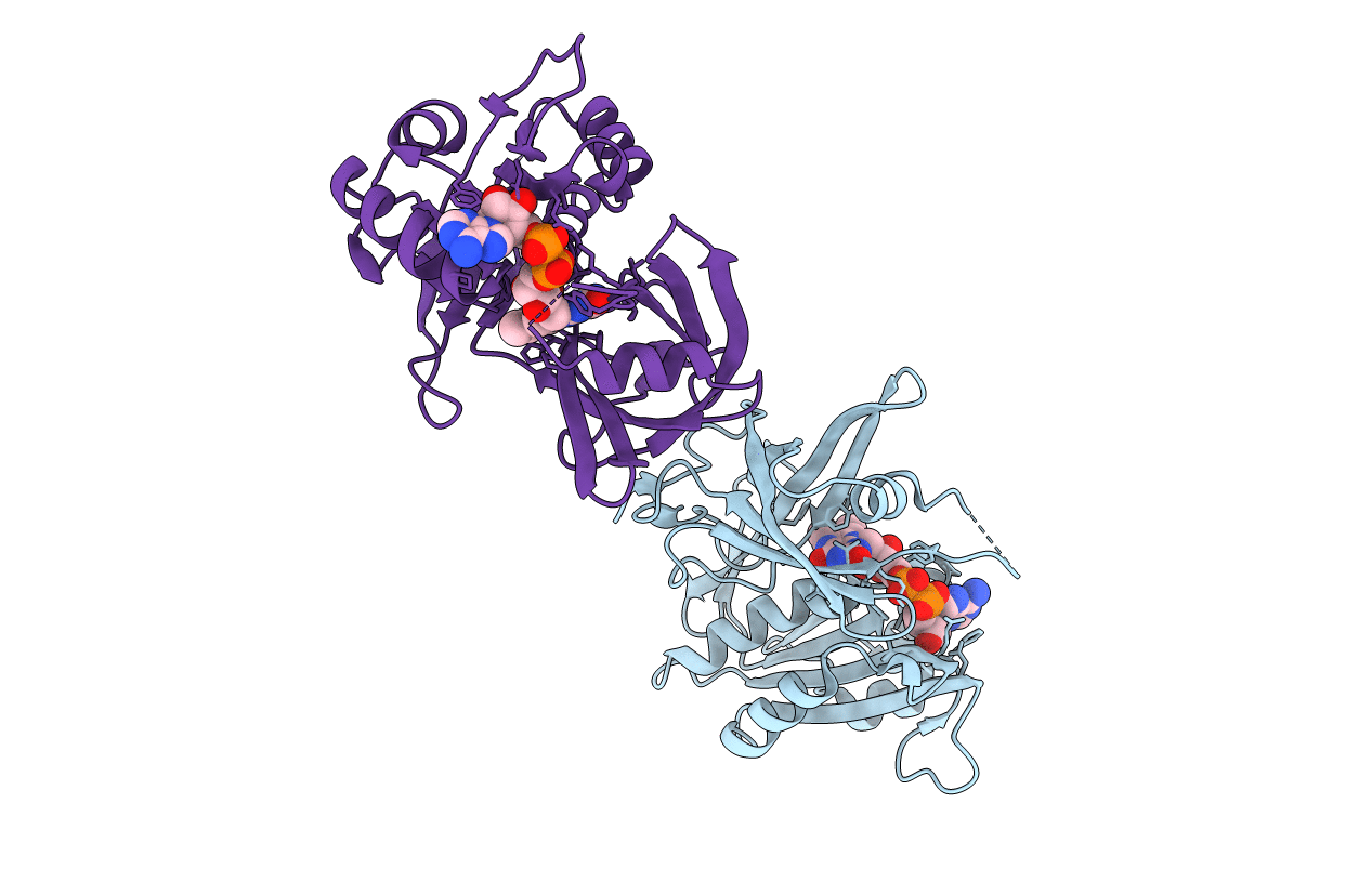 1QX4 image