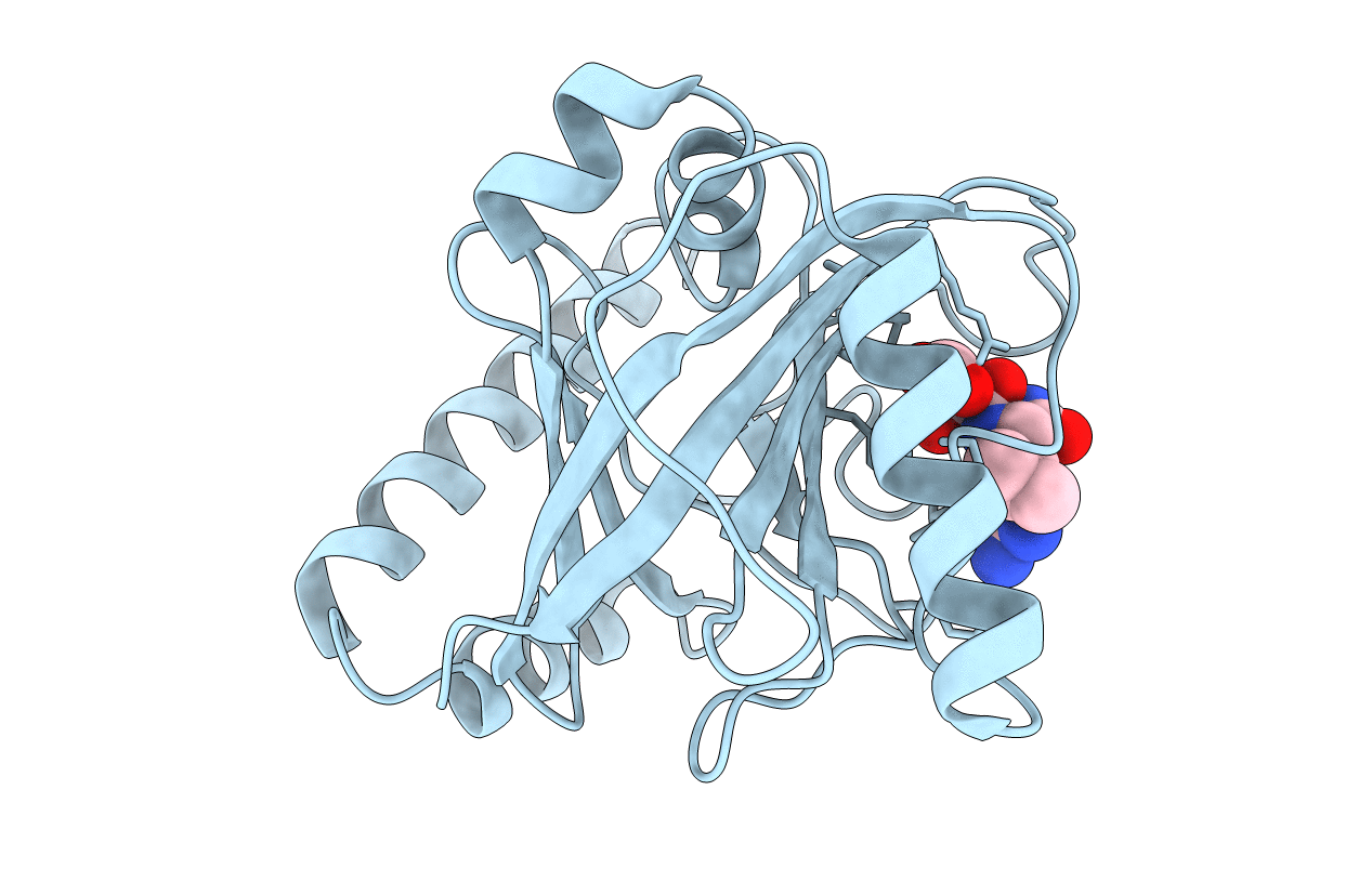 1QX6 image