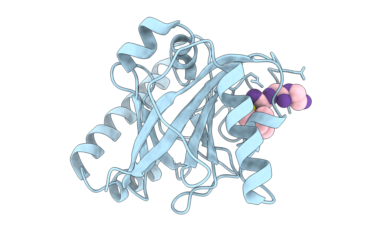 1QXA image