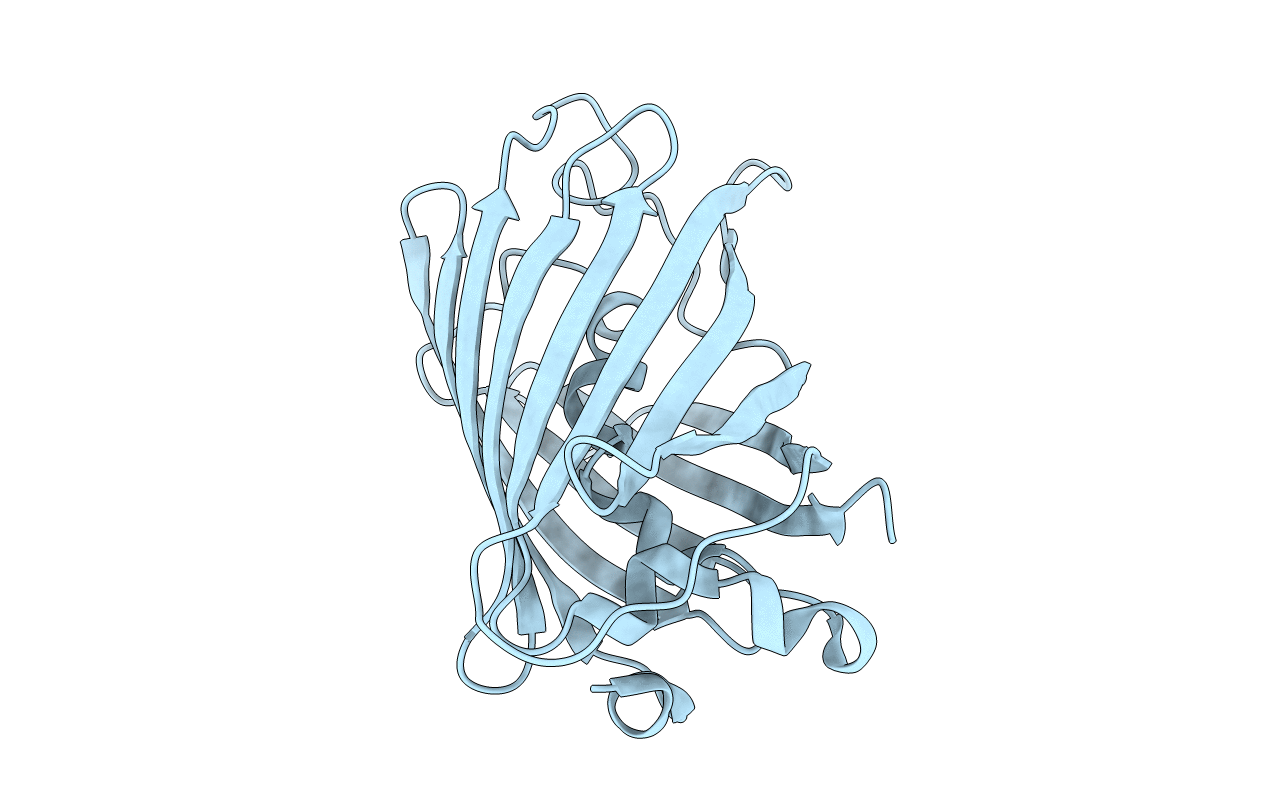 1QXT image
