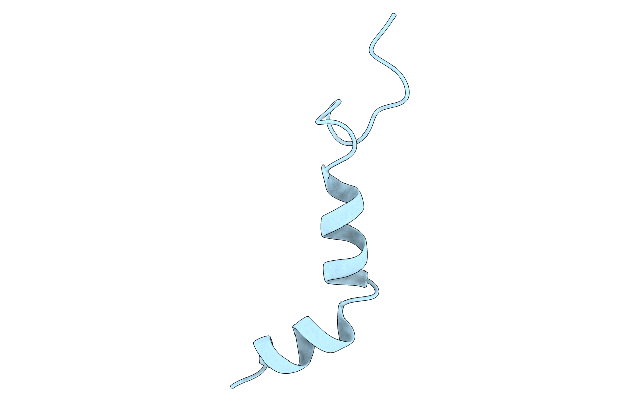 1R02 image