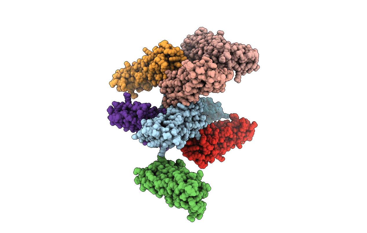 1R0D image
