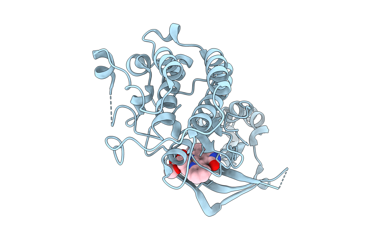 1R0P image