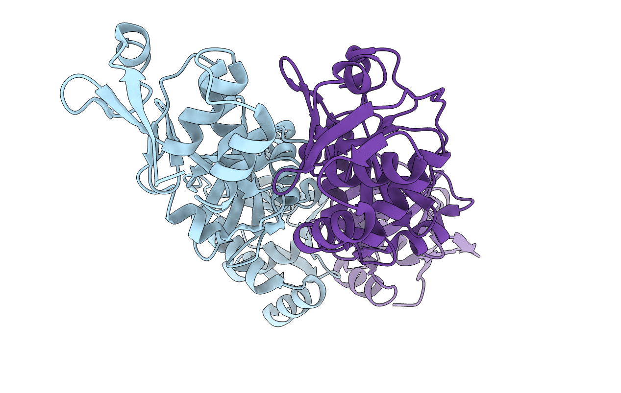 1R11 image