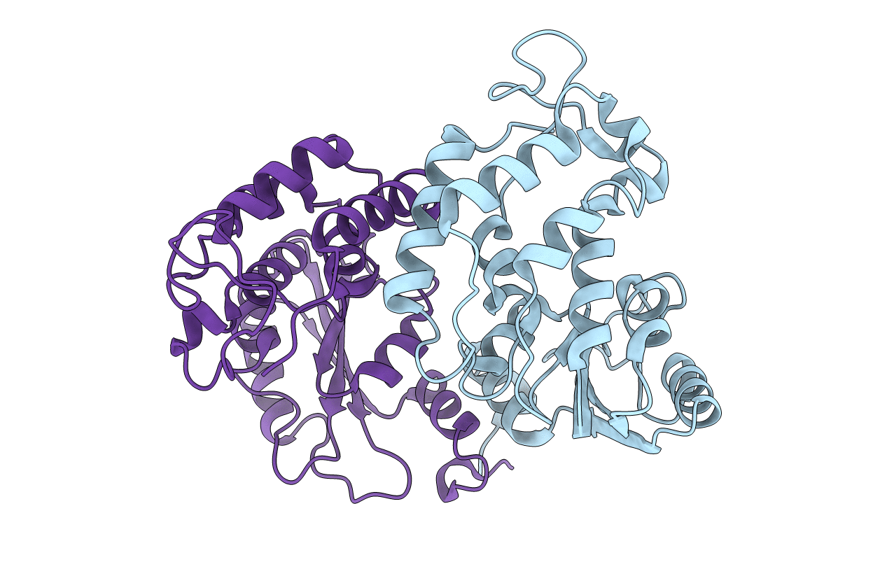 1R12 image